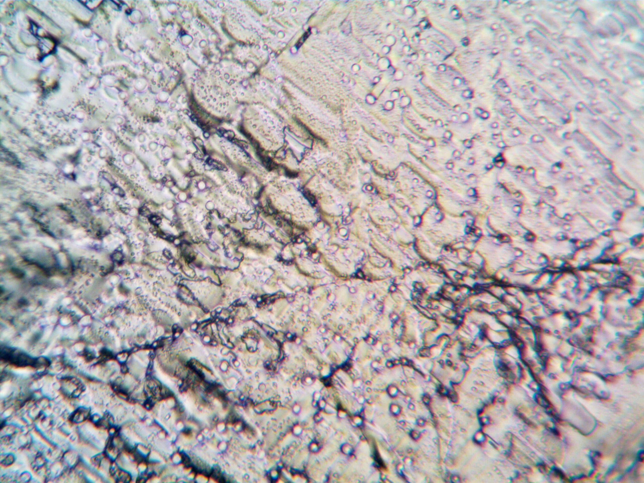 High-resolution abstract image showing crystals under a microscope with intricate details.